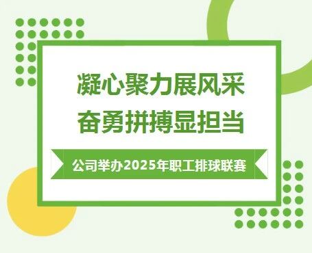 凝心聚力展风采 奋勇拼搏显担当 公司举办2025年职工排球联赛