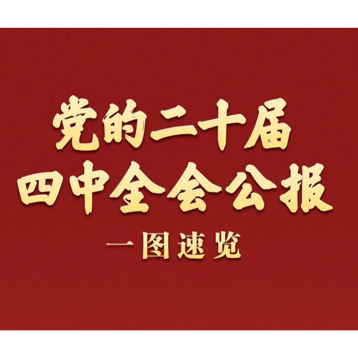 专题学习 | 党的二十届四中全会公报一图速览