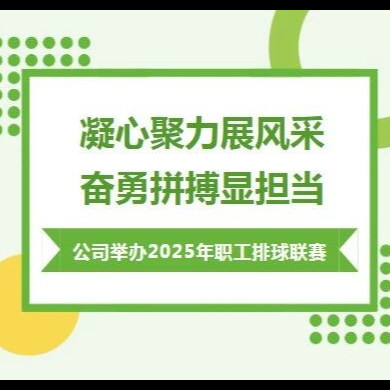 凝心聚力展风采 奋勇拼搏显担当 公司举办2025年职工排球联赛